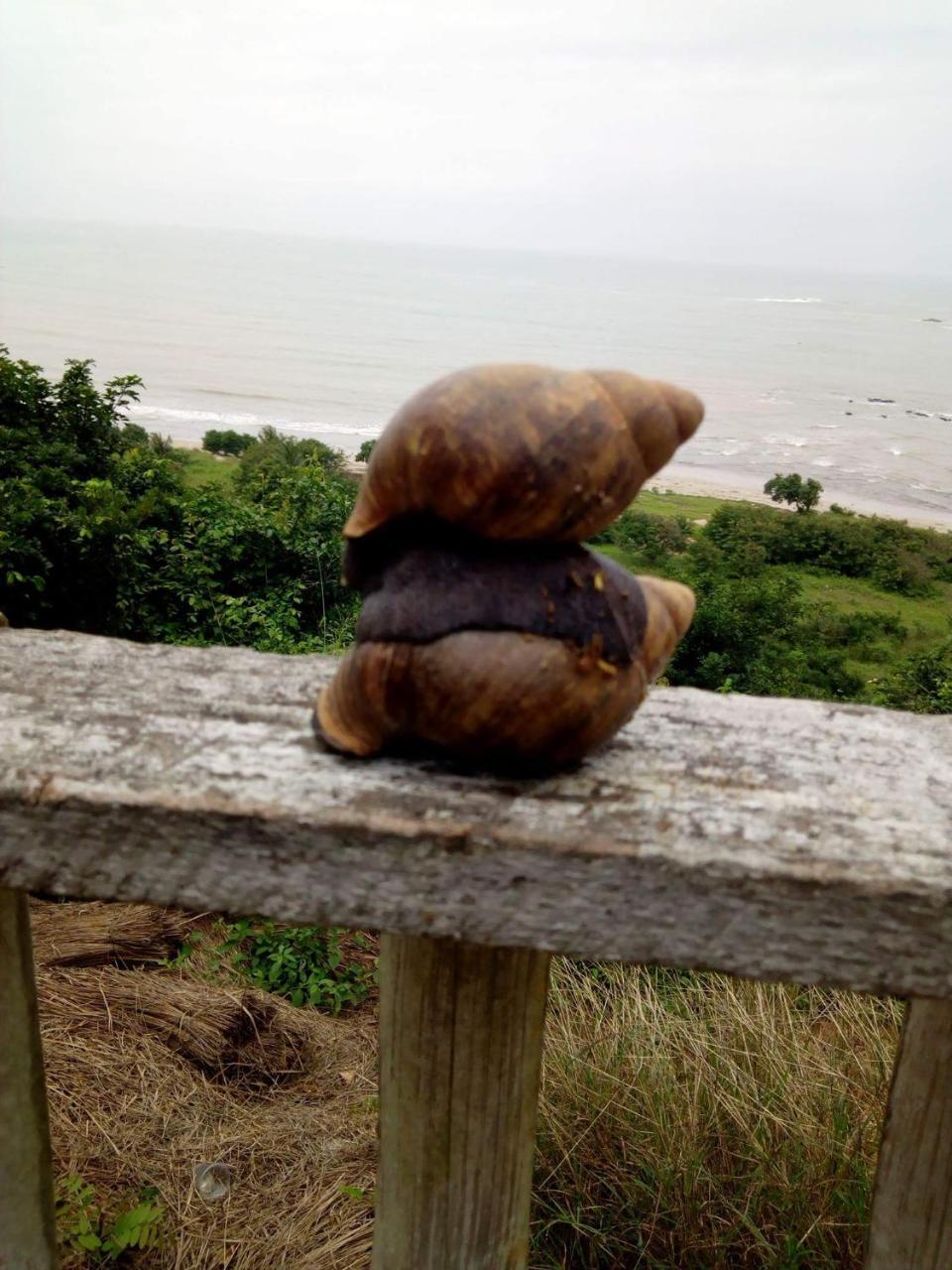 Abuesi Beach Resort Sekondi-Takoradi Eksteriør billede